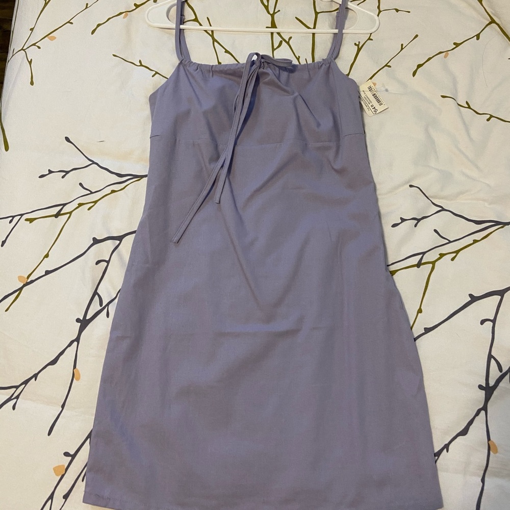 Small periwinkle dress